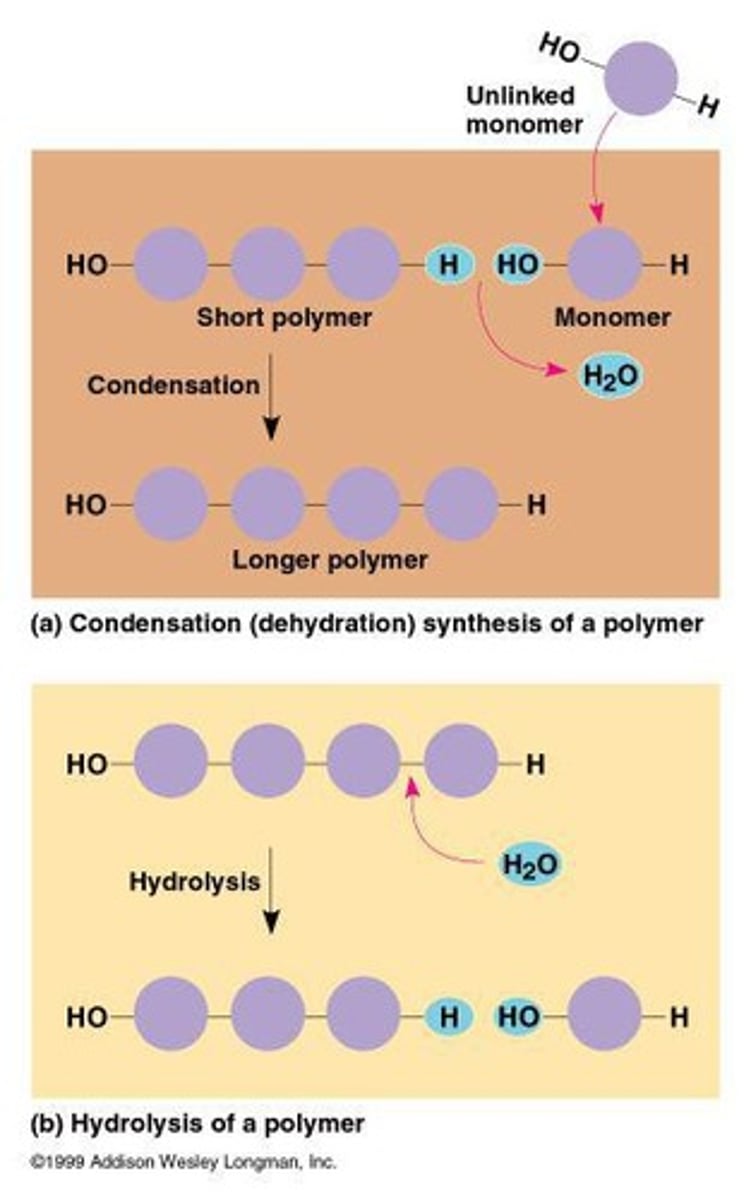 <p>Through condensation.</p>