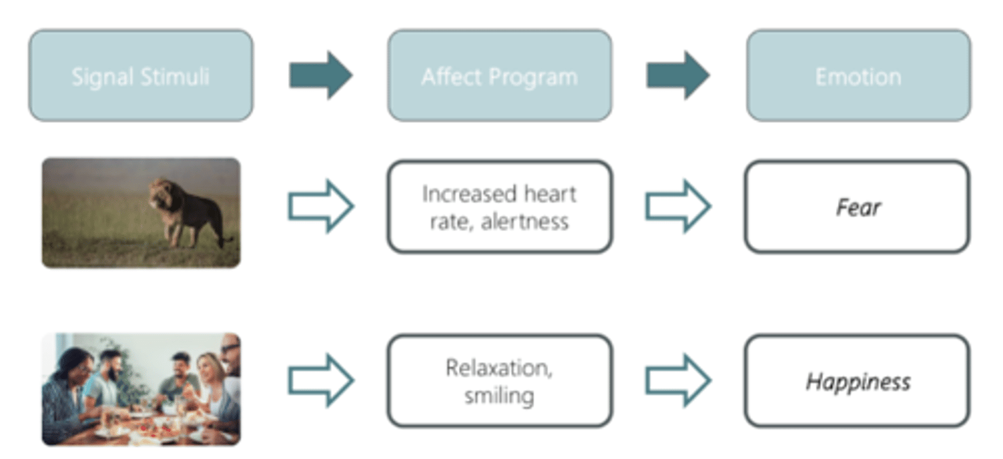 <p>Affect programmes -distinct program for each of the basic emotions where all the components co-occur (eg emotional expression, phsyiological, appraisal)</p><p>The innate and automatic emotional responses triggered by specific</p><p>environmental stimuli, which lead to physiological and expressive reactions.</p><p>Triggered by a singal stimuli and leads to emotion</p><p>• Affect programs are innate, but can change to include knowledge gained through individual experience (Ekman &amp; Cordaro, 2011)</p><p>-body is pre sent to know what to do</p>
