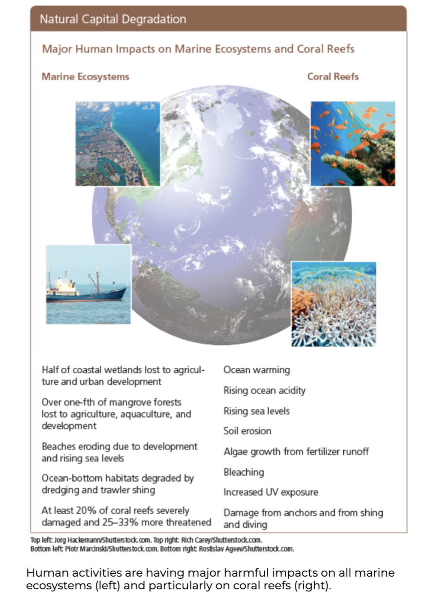 <p><span><strong>Human Impacts on Marine Ecosystems</strong></span></p>