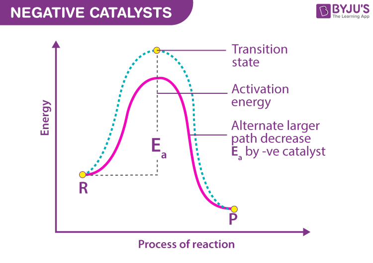 <p>Energy needed for for a reaction to go forward (the distance between the reactants and the peak of the graph)</p><p>CO2 + H2O &gt;&lt; H2CO3 (carbonic acid)</p>
