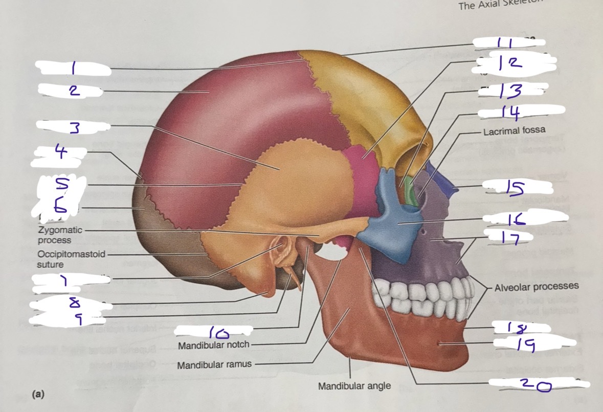 <p>1</p>