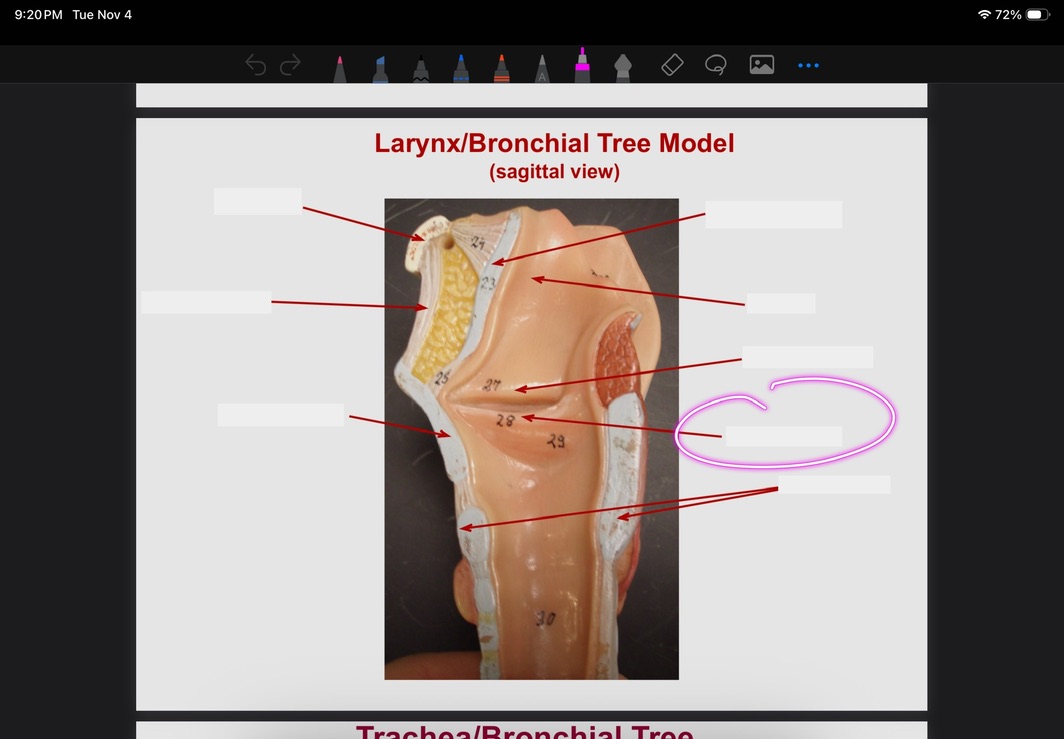 <p>What is this?</p>