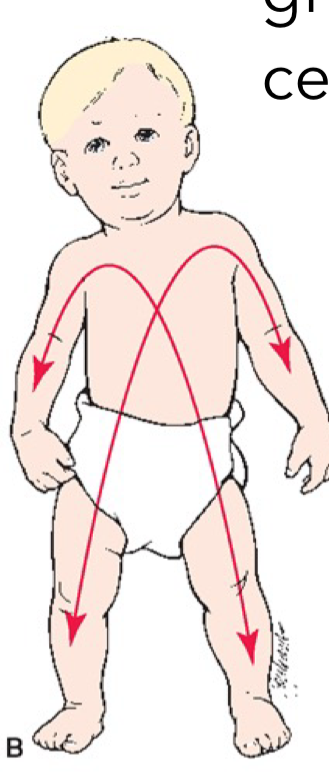 <p>Growth proceeds from the centre of the body outward</p><ul><li><p>limbs catch up with head/torso</p></li></ul><p></p>