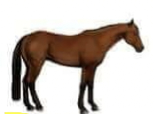 <p>What color is this?</p>