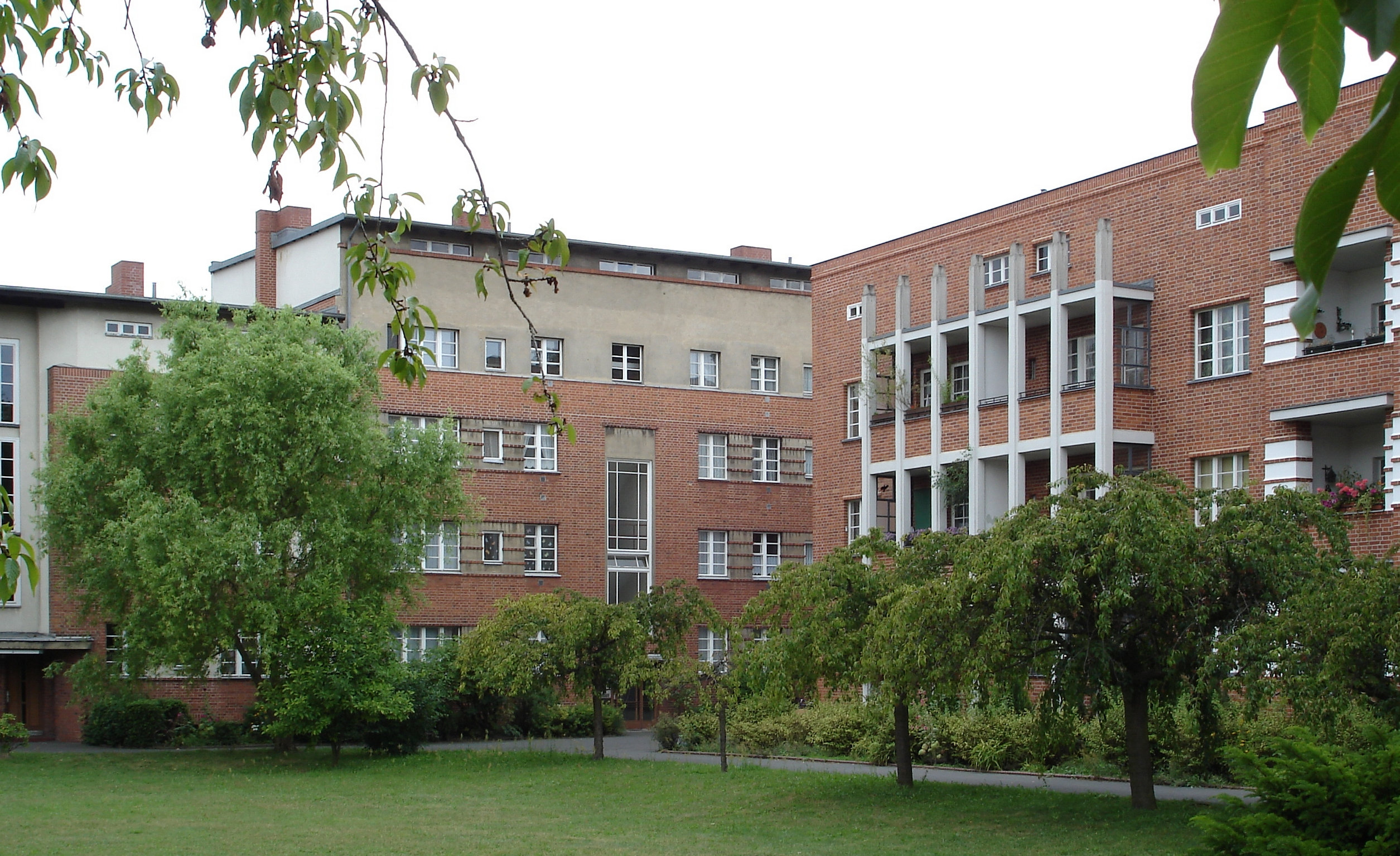 term image