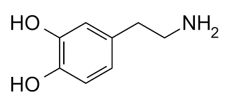 <p>Conveys excitatory signals between neurons; acute alcohol ingestion enhances its effect.</p>