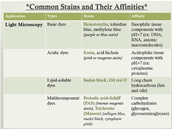* (Chemical) characteristics of the tissue affects staining. à e.g. Masson trichrome stains collagen. Crossmon stains glycogen and connective tissue. 
* So use the dye dependent on what you want to see. 

  