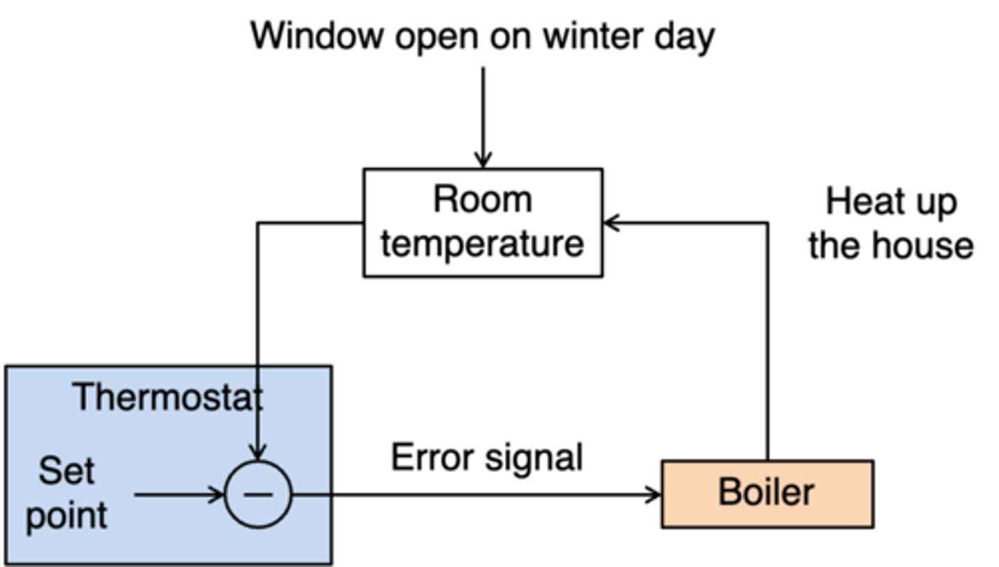 <p>Home central heating homeostatic system</p>