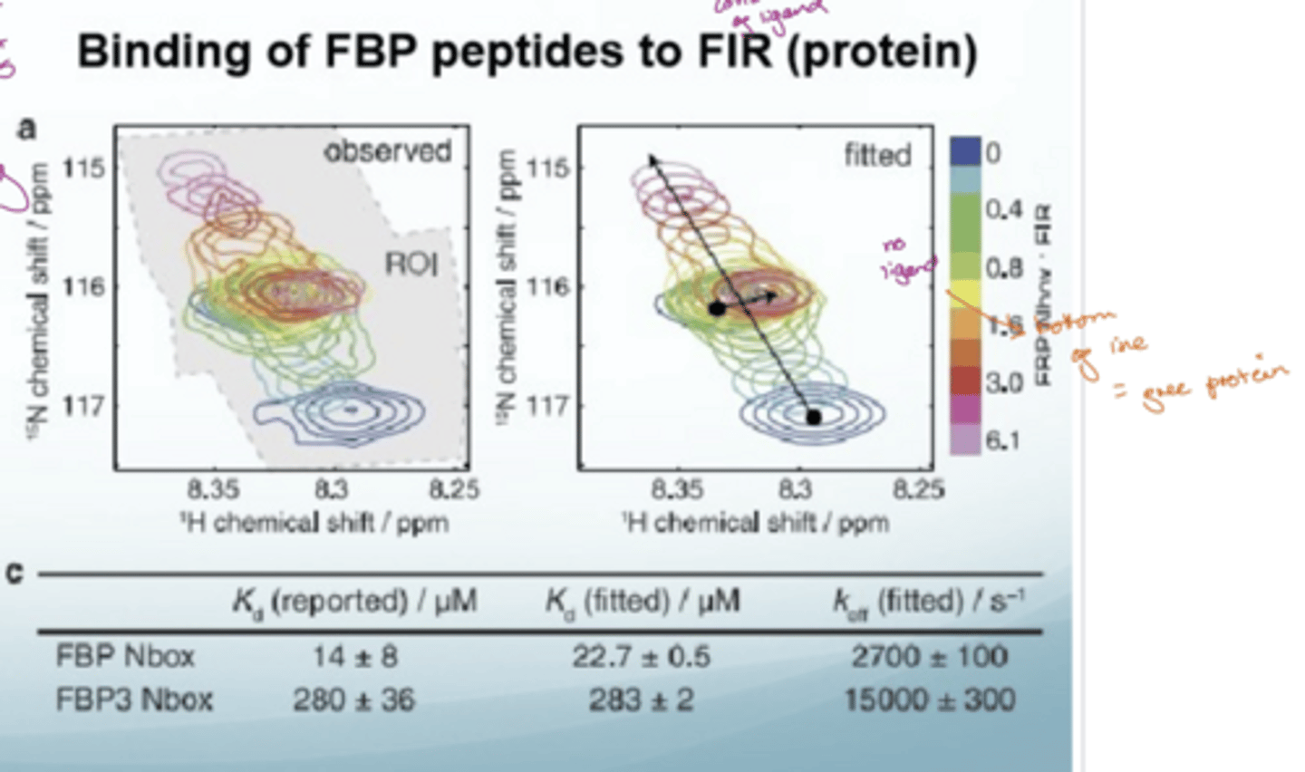 <p>close to the binding site</p><p>a dot = free protein</p><p>top of arrow = high conc of ligand</p><p>LHS = noise</p><p>RHS = no noise depicted by smoother circles</p>