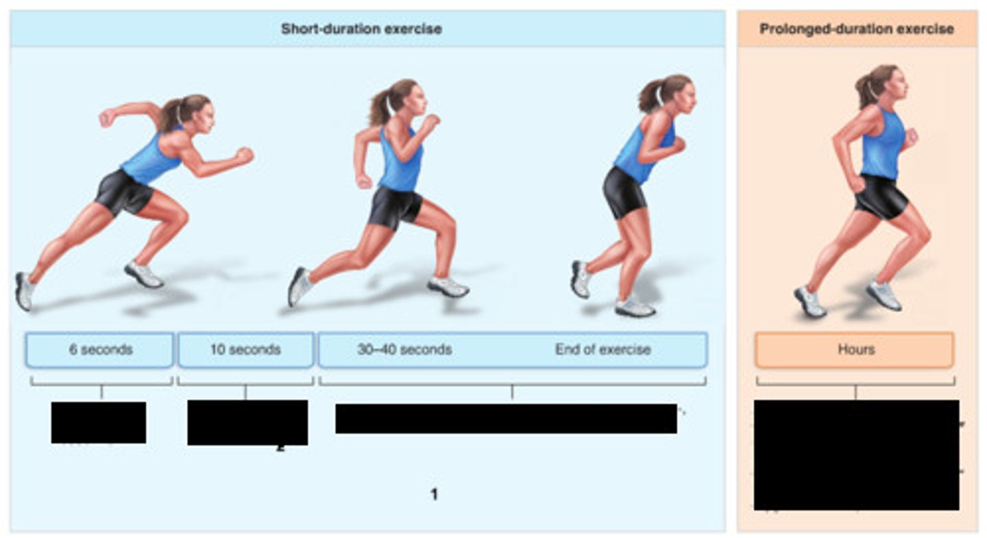 <p>hướng dẫn/khuyến nghị chính thức</p>