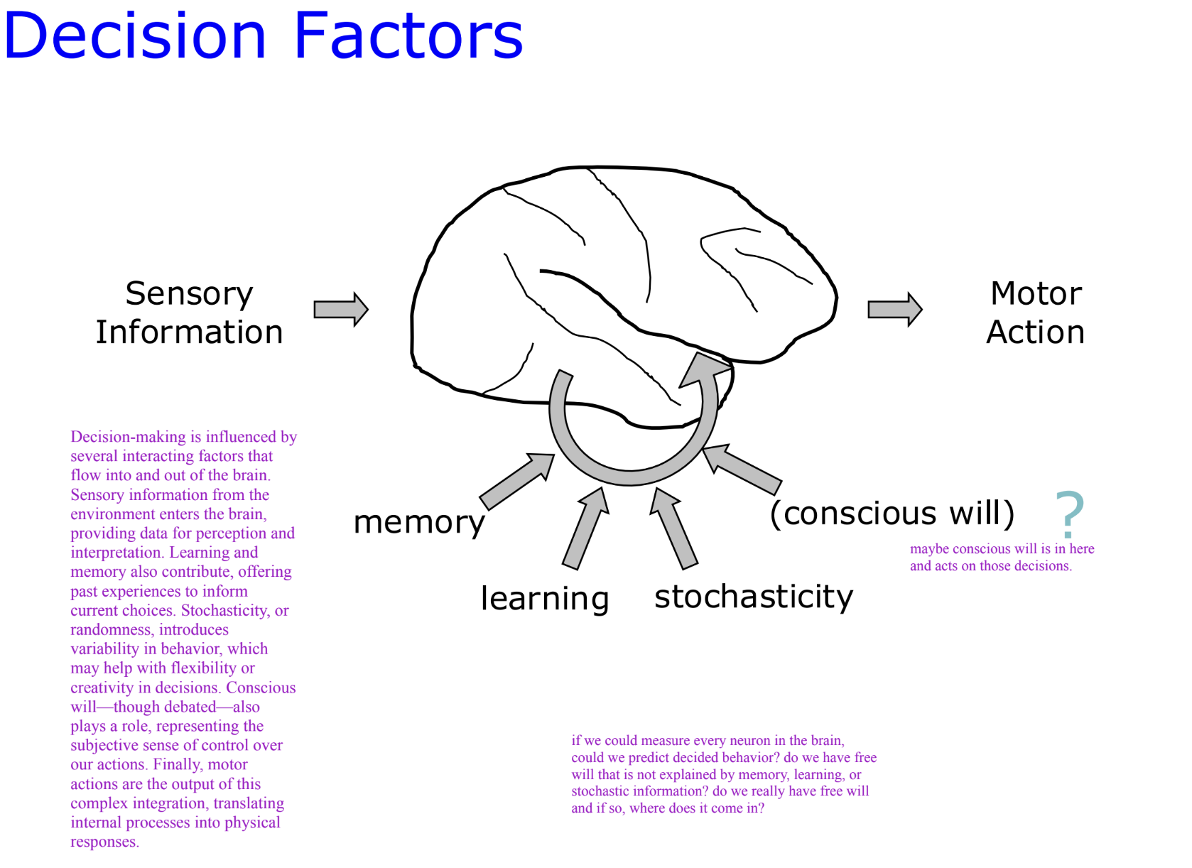 <ol><li><p class=""><strong>Sensory Information</strong> – Input from the environment that gets processed by the brain.</p></li><li><p class=""><strong>Memory</strong> – Past experiences that help inform current choices.</p></li><li><p class=""><strong>Learning</strong> – Adjustments based on feedback or outcomes from past decisions.</p></li><li><p class=""><strong>Stochasticity</strong> – Randomness or unpredictability in decisions, adding flexibility or creativity.</p></li><li><p class=""><strong>Conscious Will</strong> – Our subjective experience of choosing and having control over our actions.</p></li><li><p class=""><strong>Motor Action</strong> – The physical output that results from the internal decision-making process.</p></li></ol><p></p>