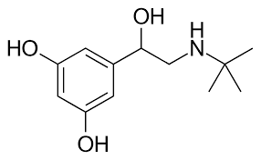 <p>Non presenta il catecolo= maggiore emivita</p><p>Presenta un gruppo terzbutilico quindi selettiva per beta2.</p><p>Usata per l’asma tramite la stimolazione dei recettori beta2 a livello della muscolatura liscia della trachea ma usata anche per rilassare la muscolatura uterina ed evitare parti prematuri in casi specifici</p>