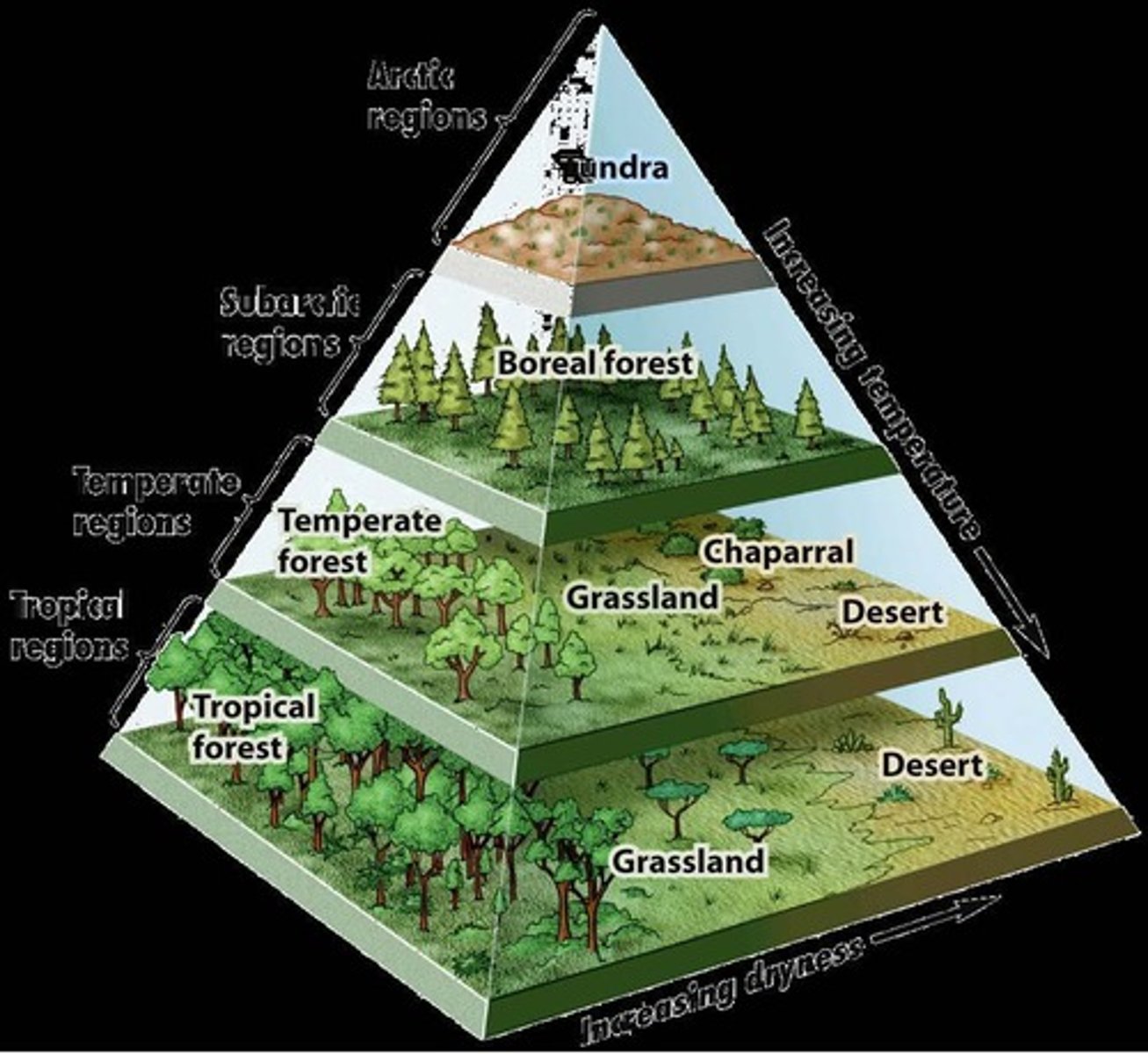 <p>Variety of ecosystems within a specific area.</p>