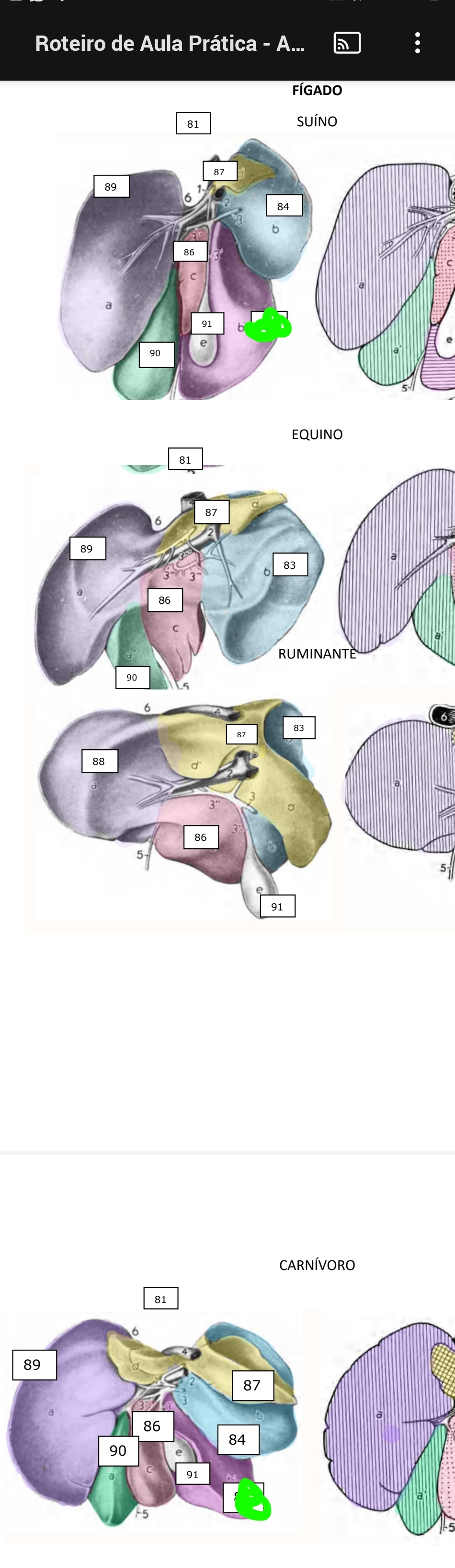 knowt flashcard image