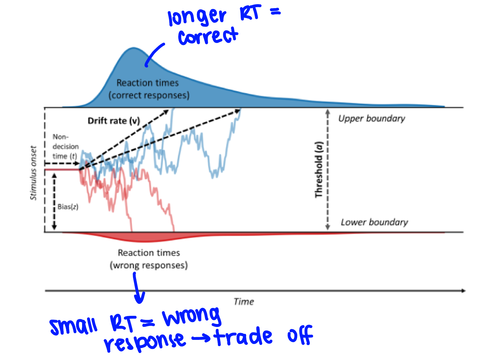 <ul><li><p>you have a starting parameter and you will drift towards a yes or a no response</p></li><li><p>non-decision time: cognitive processing before making the decision</p></li><li><p>drift rate/evidence accumulation: you have some process by which you are floating towards a yes or no decision based on environmental information</p></li><li><p>there is a threshold/boundary: where you need to drift to make a decision</p></li></ul><p></p>
