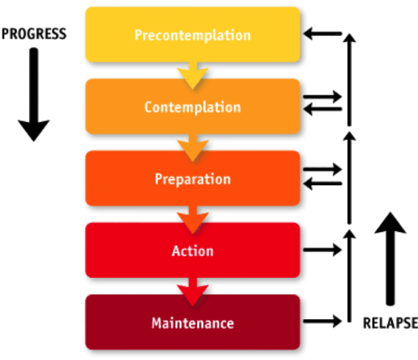 <p>1. Precontemplation<br>2. Contemplation<br>3. Preparation<br>4. Action<br>5. Maintenance</p>