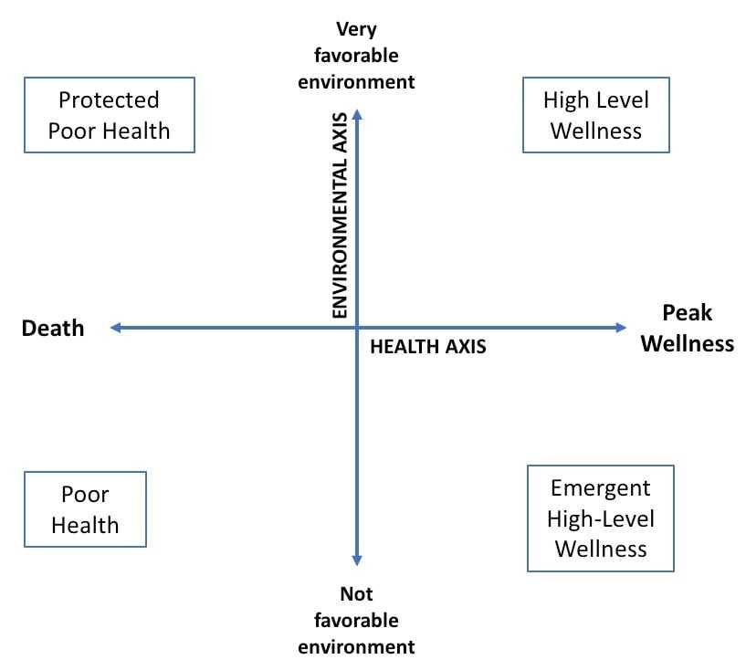 <p>One of the 8 Models of Health &amp; Wellness</p><p>Health <strong>axis</strong> and an <strong>environmental axis intersect</strong></p><p>Grid demonstrates the <strong>interaction</strong> of the <strong>environment with the illness-wellness continuum</strong></p>