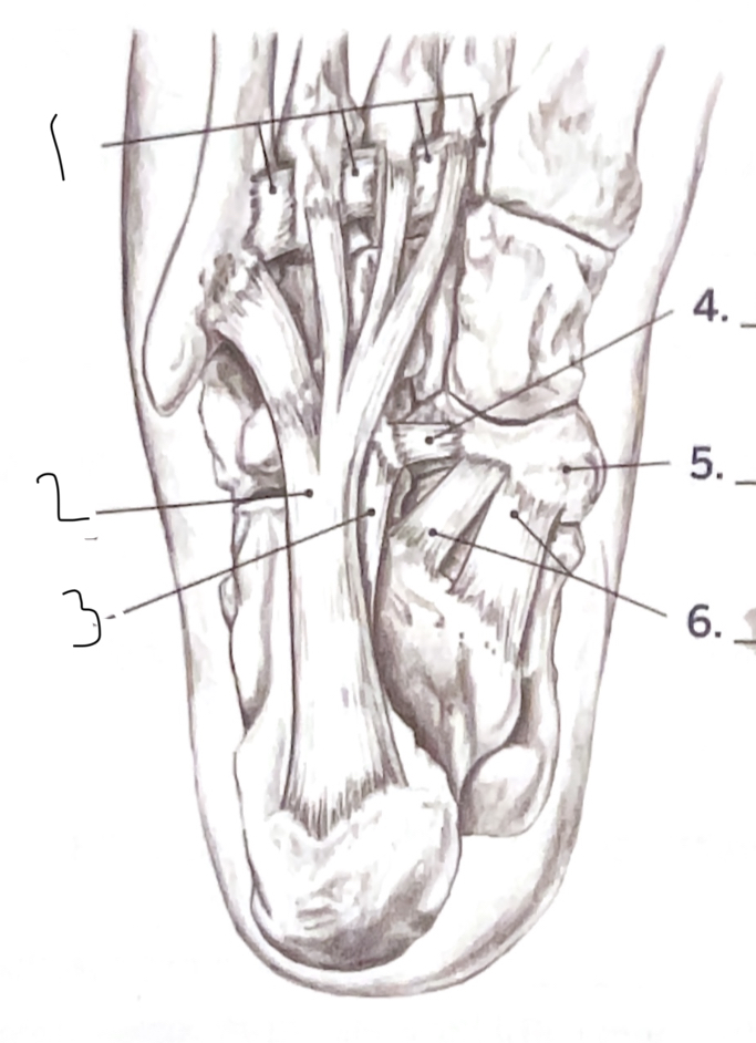 <p>1</p>