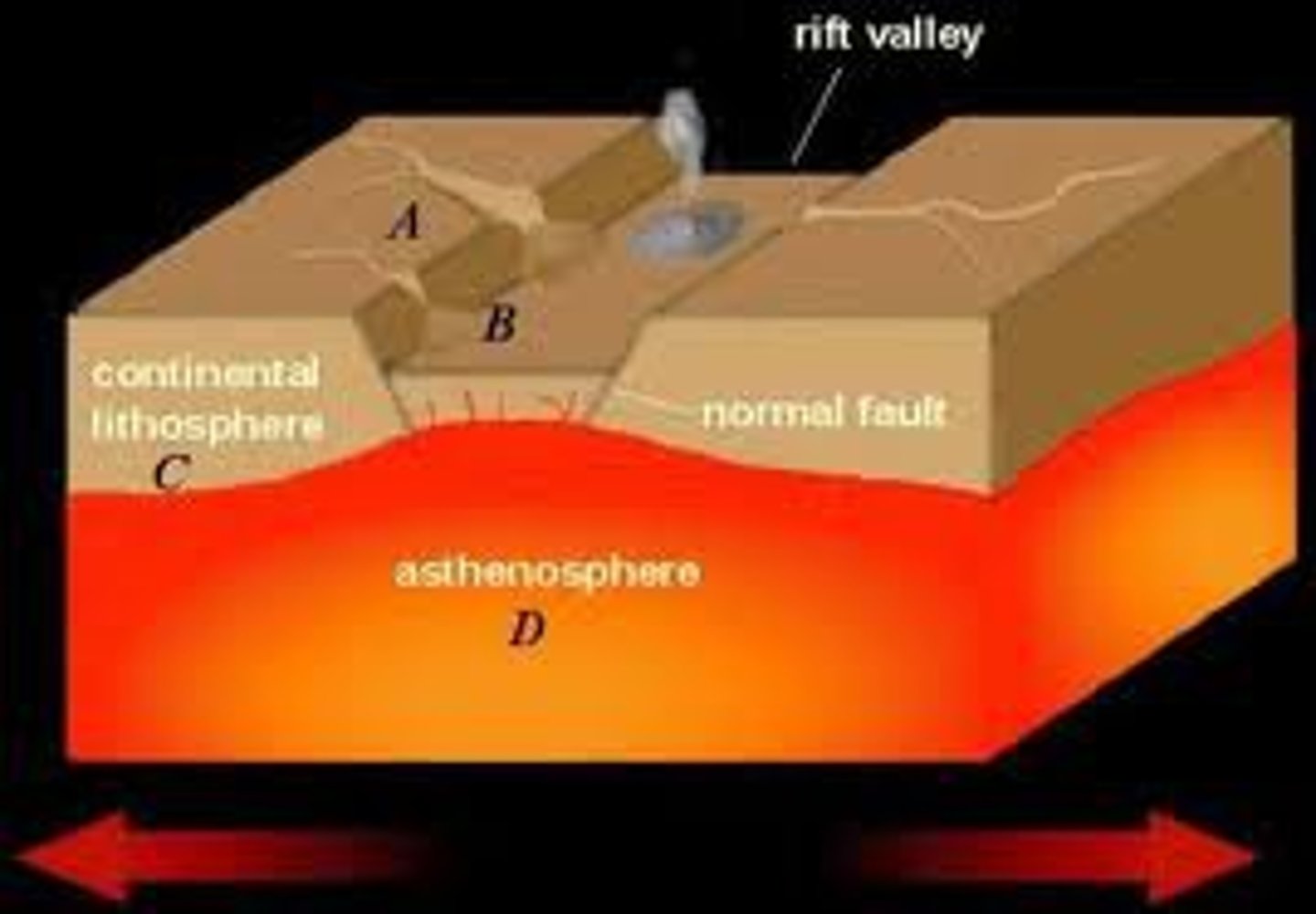 <p>long, narrow depression formed at divergent boundaries, continental-continental</p>