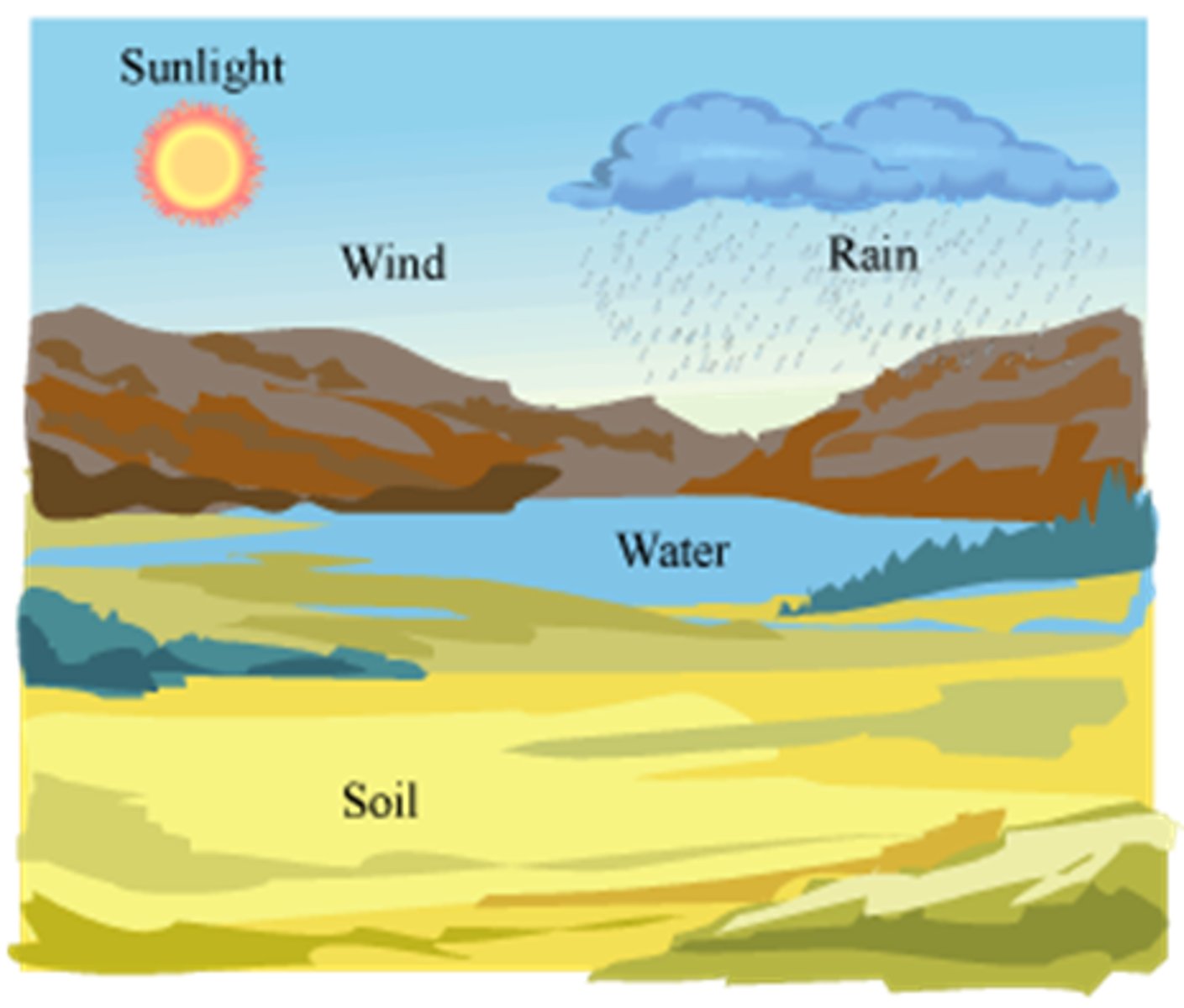 <p>Non-living components of an environment, such as temperature, humidity, salinity.</p>