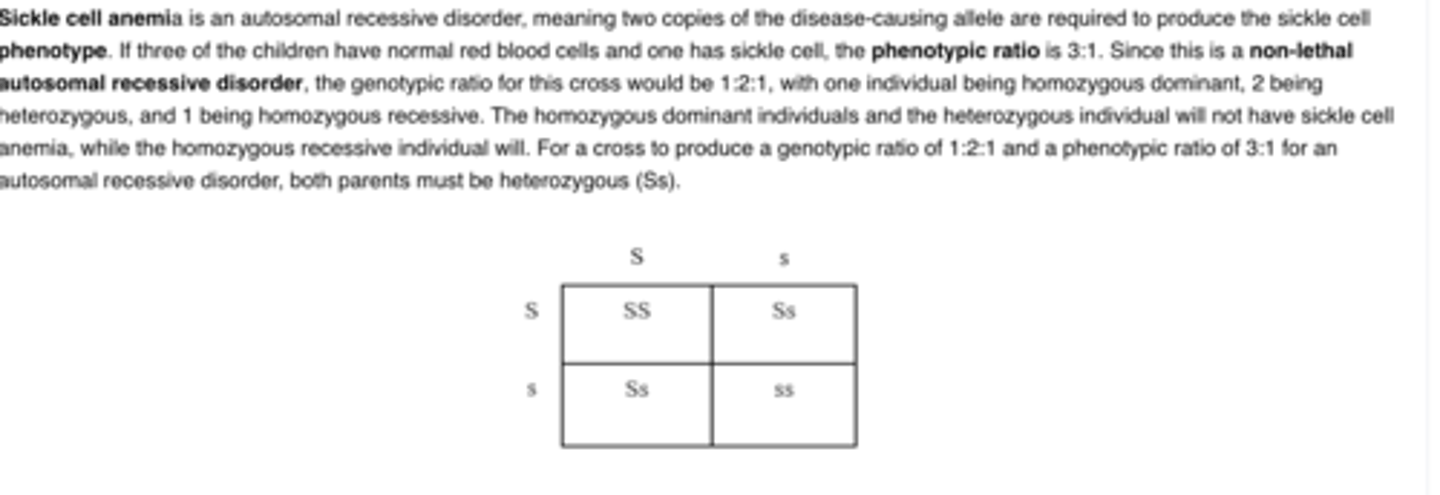 <p>B.Both parents are Ss</p>