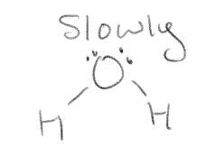 <p>Hydrophillic/ Polar</p>