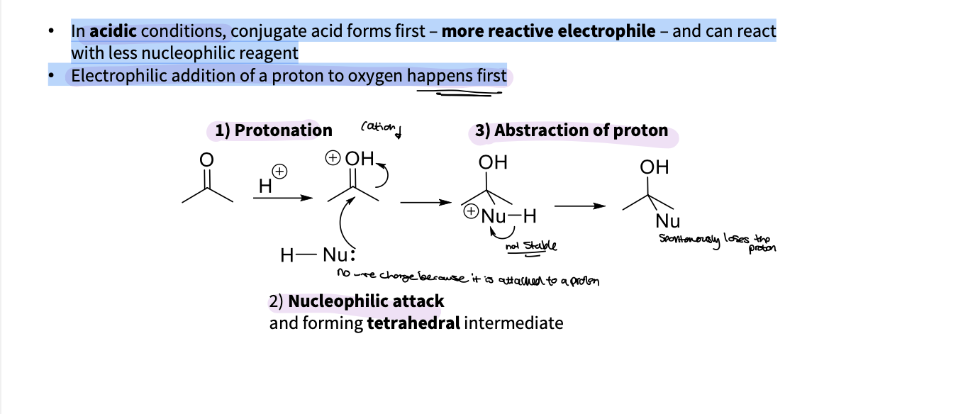 <p>In acidic conditions, conjugate acid forms first – more reactive electrophile – and can react</p><p class="p1"><span>with less nucleophilic reagent</span></p><p class="p1"><span>• Electrophilic addition of a proton to oxygen happens first</span></p><ol><li><p class="p1">protonation&nbsp;</p></li><li><p class="p1">nucleophilic attack - tetrahedral intermediate&nbsp;</p></li><li><p class="p1">abstraction of proton&nbsp;</p></li></ol><p></p>