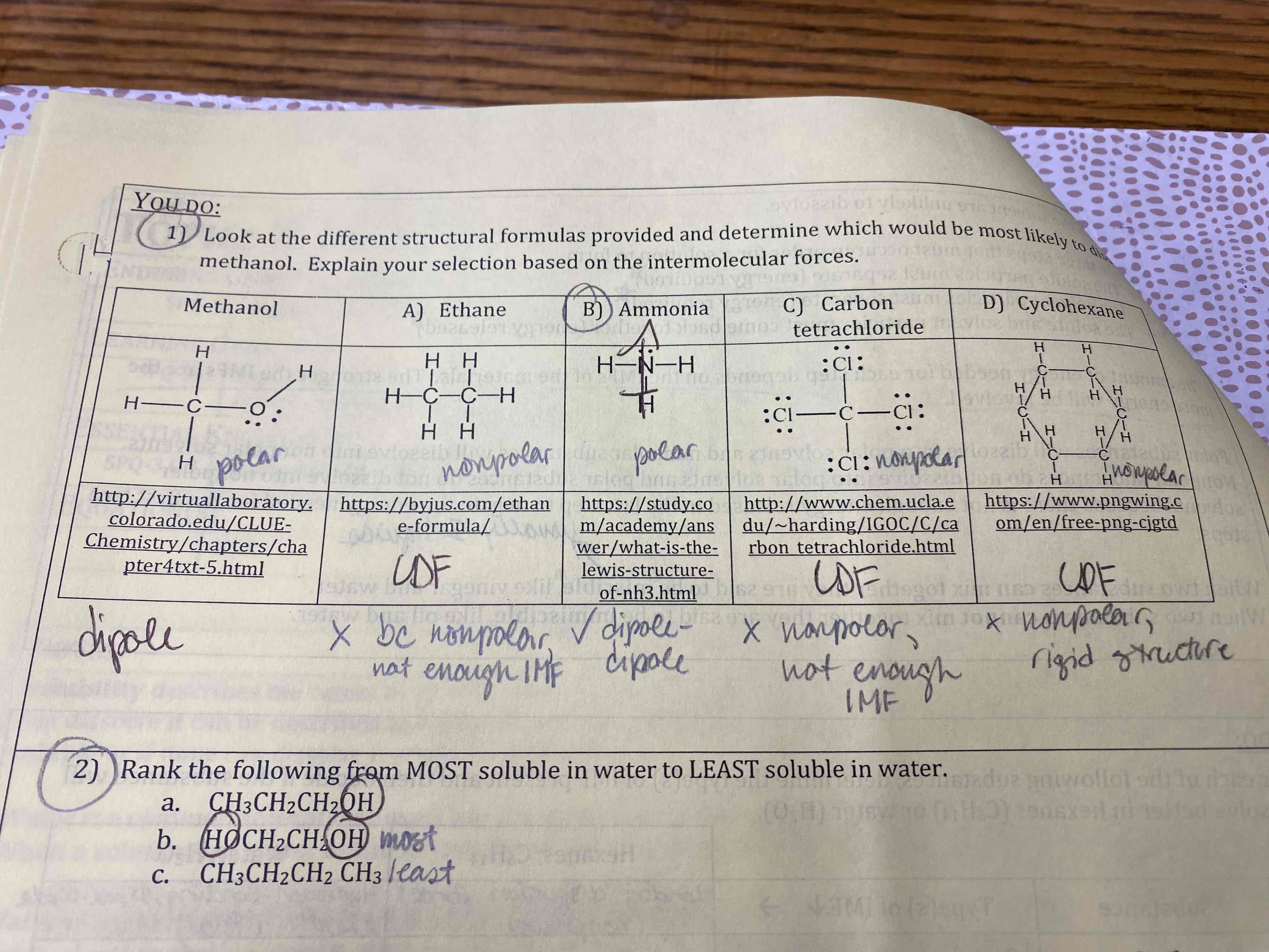 <p>Ammonia</p>