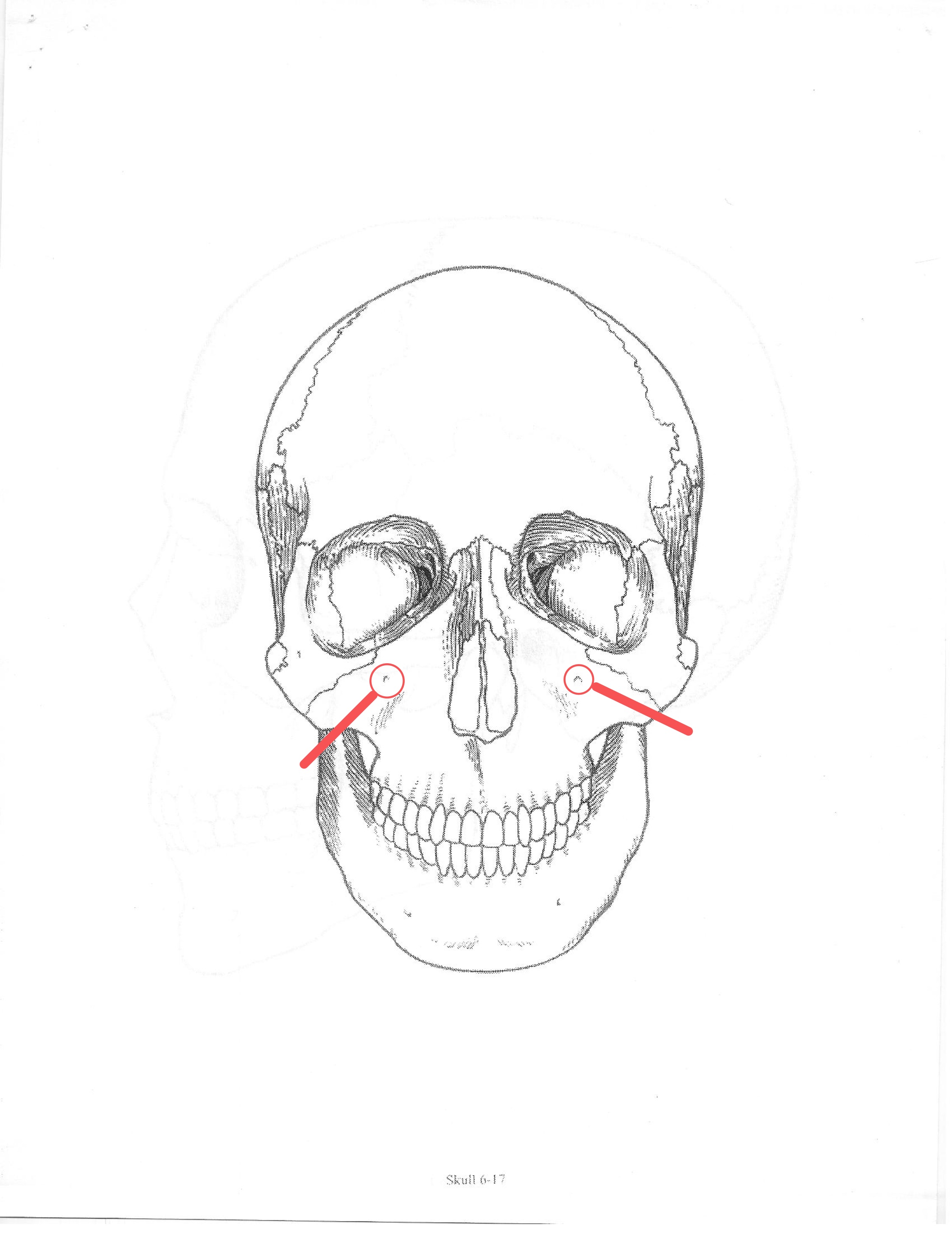 <p>ID feature</p>