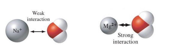 <p>are Coulombic attractions between ions (either positive or negative) and polar molecules.</p>