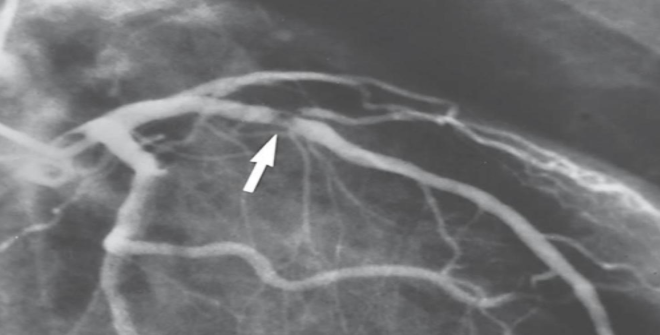 <p>what is this?</p>