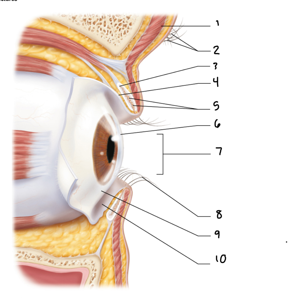 <p>1</p>