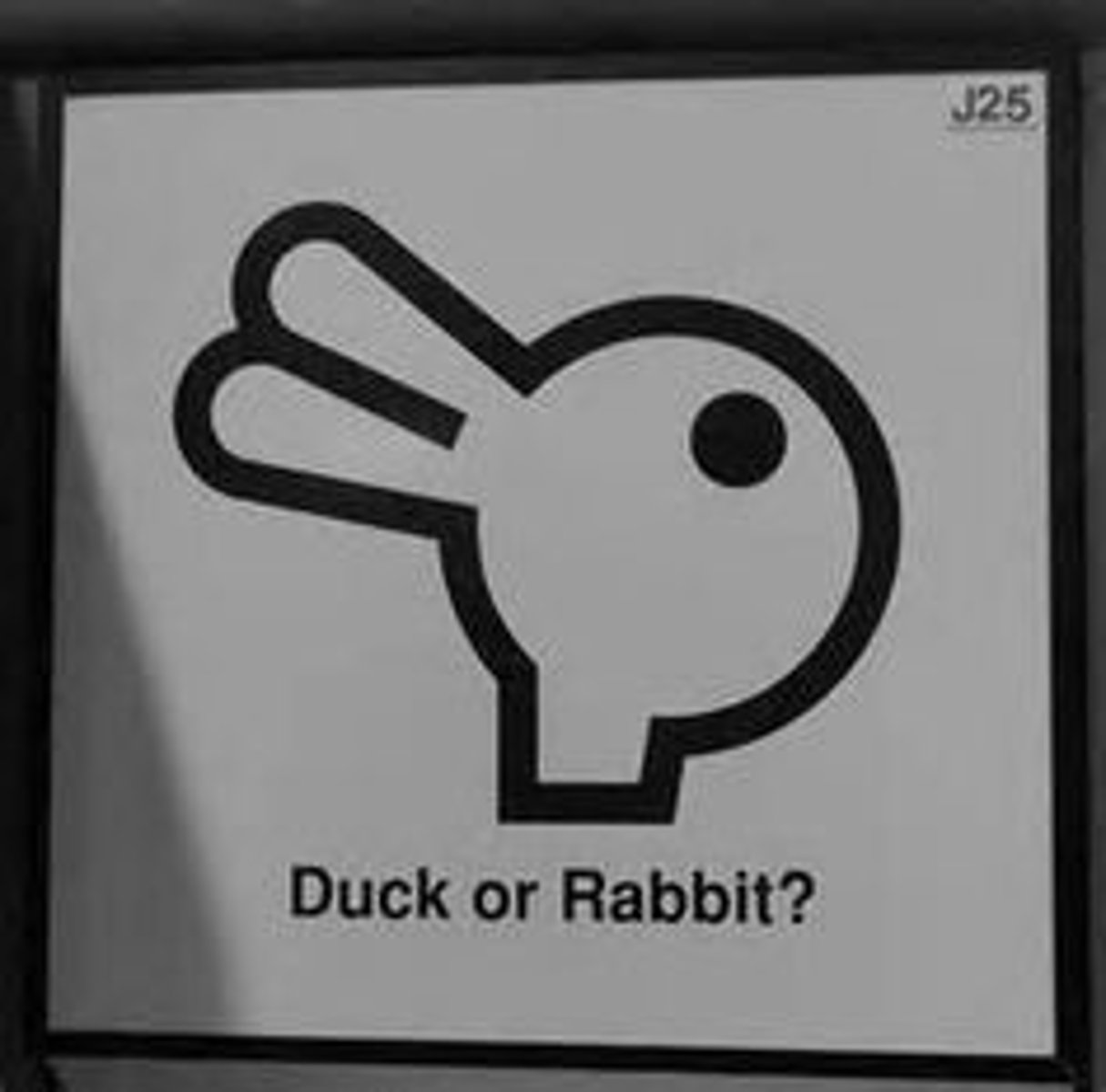 <p>a mental predisposition to perceive one thing and not another</p>