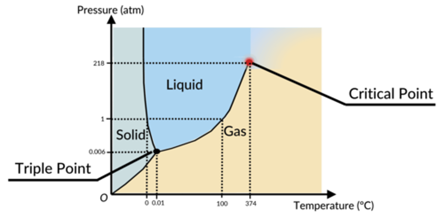 <p>phase diagram (looks like a butt)</p><p>-outside of butt: gas</p><p>-left cheek: solid</p><p>-right cheek: liquid</p><p>triple point is where all these lines converge and it's the pressure/temperature combination at which all three phases exist at the same time, in equilibrium with each other</p>