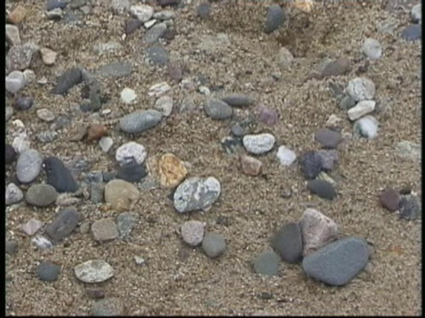 <p>Small articles of rock, sand and other debris</p>