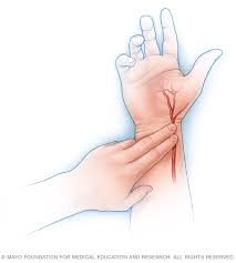 <p>Pulse Pressure ?? (PP)</p>