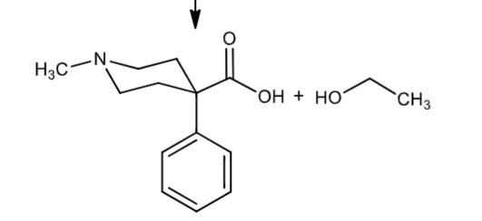 <p>makes meperidinic acid</p>