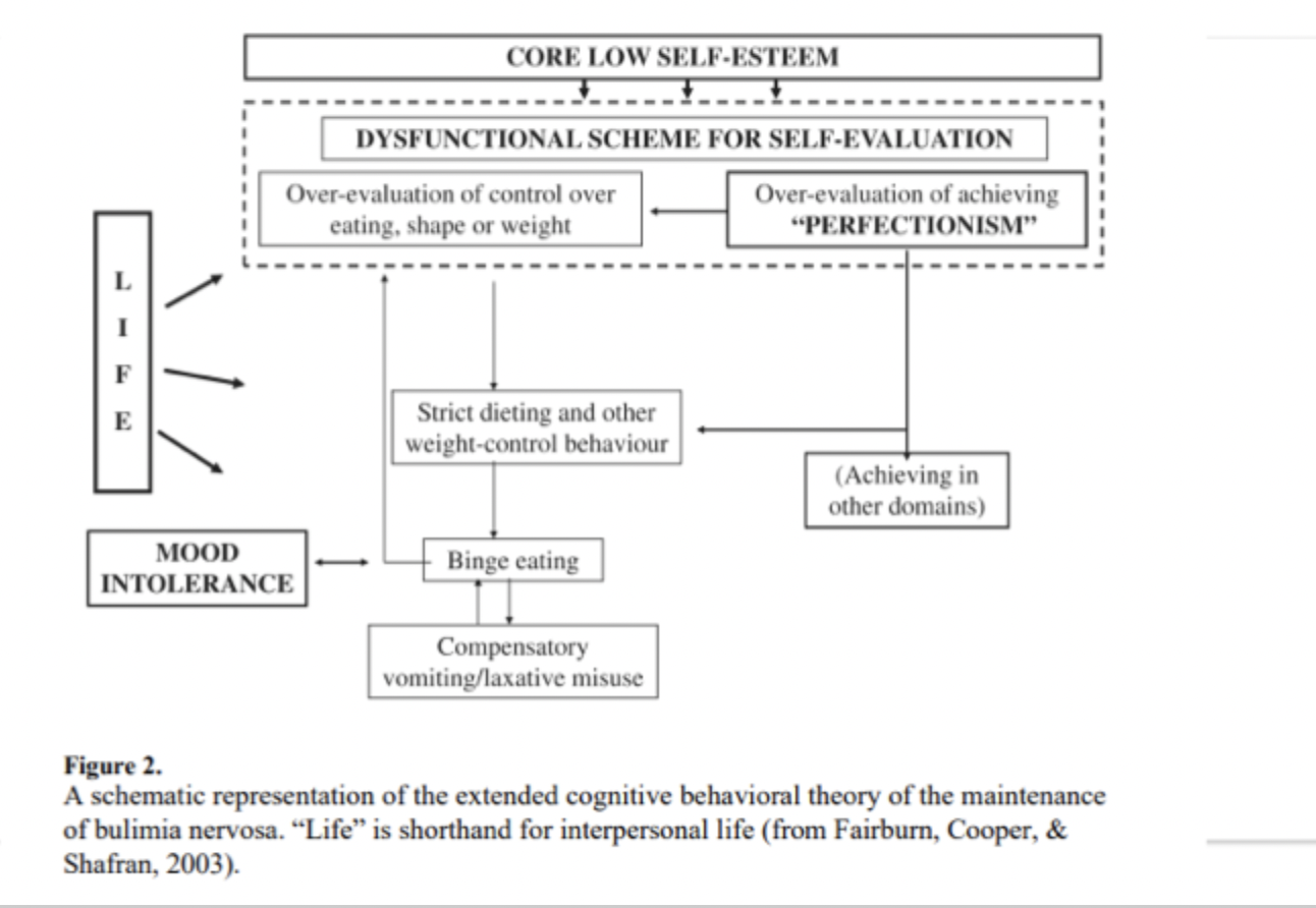 <ol><li><p><mark data-color="red" style="background-color: red; color: inherit;">At the core:</mark> Low Self Esteem- pervasive, longstanding sense of inadequacy or worthlessness</p></li><li><p><mark data-color="#6e3f19" style="background-color: rgb(110, 63, 25); color: inherit;">Dysfunctional Scheme for </mark><strong><mark data-color="#6e3f19" style="background-color: rgb(110, 63, 25); color: inherit;">Self-Evaluation</mark></strong></p></li></ol><p><mark data-color="#613a19" style="background-color: rgb(97, 58, 25); color: inherit;">a.</mark> <strong><u>Over-evaluation of eating, shape, and weight</u></strong> (self worth becomes almost entirely tied to weight control/ dietary success, drives strict eating rules and compensatory behaviors)</p><p><mark data-color="#633102" style="background-color: rgb(99, 49, 2); color: inherit;">b. </mark><strong><u>Perfectionism (over evaluation of achievement, unrealistically high standards in multiple life areas. </u></strong>Achieving in other domains can temporarily boost self evaluation but often reinforces rigidity)</p><p></p><ol start="3"><li><p><strong><u><mark data-color="yellow" style="background-color: yellow; color: inherit;">Strict dieting/ weight control behaviors</mark></u></strong><mark data-color="yellow" style="background-color: yellow; color: inherit;"> (comes either from over evaluation of eating/ shape/ weight or perfectionism in general)</mark></p></li></ol><ul><li><p><strong>restrictive eating, rigid rules, fasting, exercise</strong></p></li><li><p><strong>increases risk of binge eating </strong>when <strong>rules are broken or restriction becomes physiologically unsustainable</strong></p></li></ul><ol start="4"><li><p><mark data-color="green" style="background-color: green; color: inherit;">Binge eating (results from and leads to mood intolerance, mentioned #6)</mark></p></li></ol><ul><li><p>Episodes of loss of control eating, <strong><u>triggered by dietary restraint, mood intolerance, or self-evaluation failures</u></strong></p></li><li><p><strong><u>Reinforces cycle of self criticism and attempts to gain control</u></strong></p></li></ul><ol start="5"><li><p><mark data-color="blue" style="background-color: blue; color: inherit;">Compensatory behaviors</mark></p></li></ol><ul><li><p><strong>Vomiting, laxatives, or purging</strong></p></li><li><p><strong>Reduce distress in the short term </strong>but <strong>maintain the cycle, keeping weight and shape at the center of self-evaluation.</strong></p></li></ul><ol start="6"><li><p><mark data-color="purple" style="background-color: purple; color: inherit;">Mood intolerance:</mark> leads to and comes from binge eating</p></li></ol><ul><li><p>Difficulty tolerating strong emotions</p></li><li><p>Leads to using ED behaviors (restriction, bingeing, purging) to escape/ regulate emotions</p></li></ul><ol start="7"><li><p><mark data-color="#880a86" style="background-color: rgb(136, 10, 134); color: inherit;">Interpersonal life (OCCURS AT ALL STAGES)</mark></p></li></ol><ul><li><p>stressors, relationship problems, or social evaluation can worsen self esteem and trigger stricter dieting or binge-purging cycles.</p></li></ul><p></p><p></p>