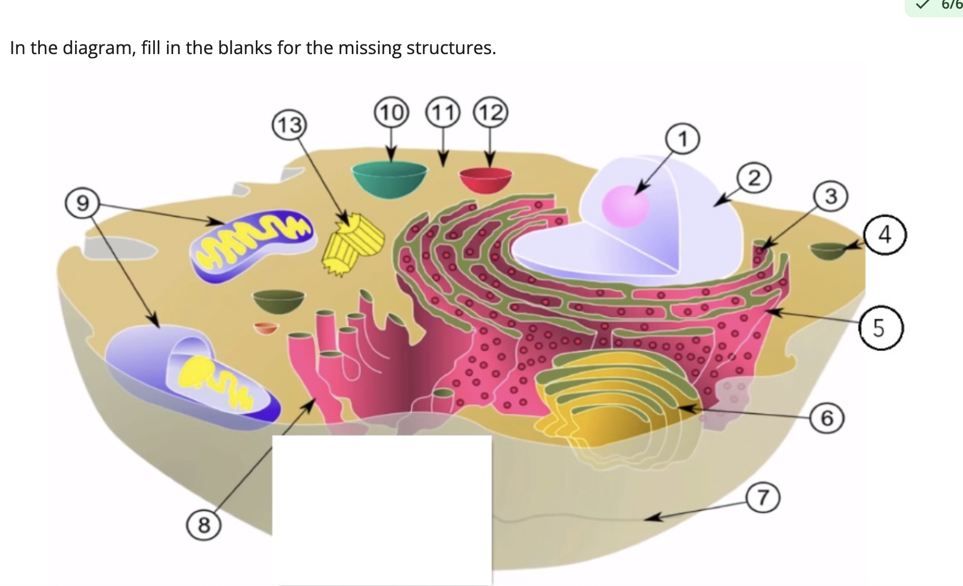 <p>name structures 1, 3, 6, 8, 9, and 13</p>
