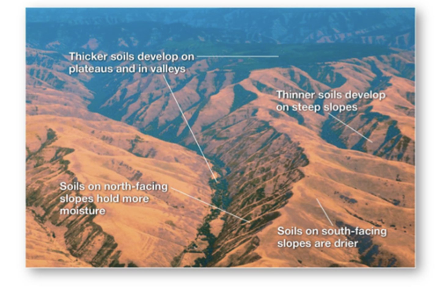 <p>Elevation, slope, and aspect can slow or speed climate factors.</p><p>There is more erosion on slopes, so there is thinner soil. In contrast, in valleys, there is a collection of sediment, so there is thicker soil.</p><p>Soils on north facing slopes hold more moisture and soils on south facing slopes are drier.</p>