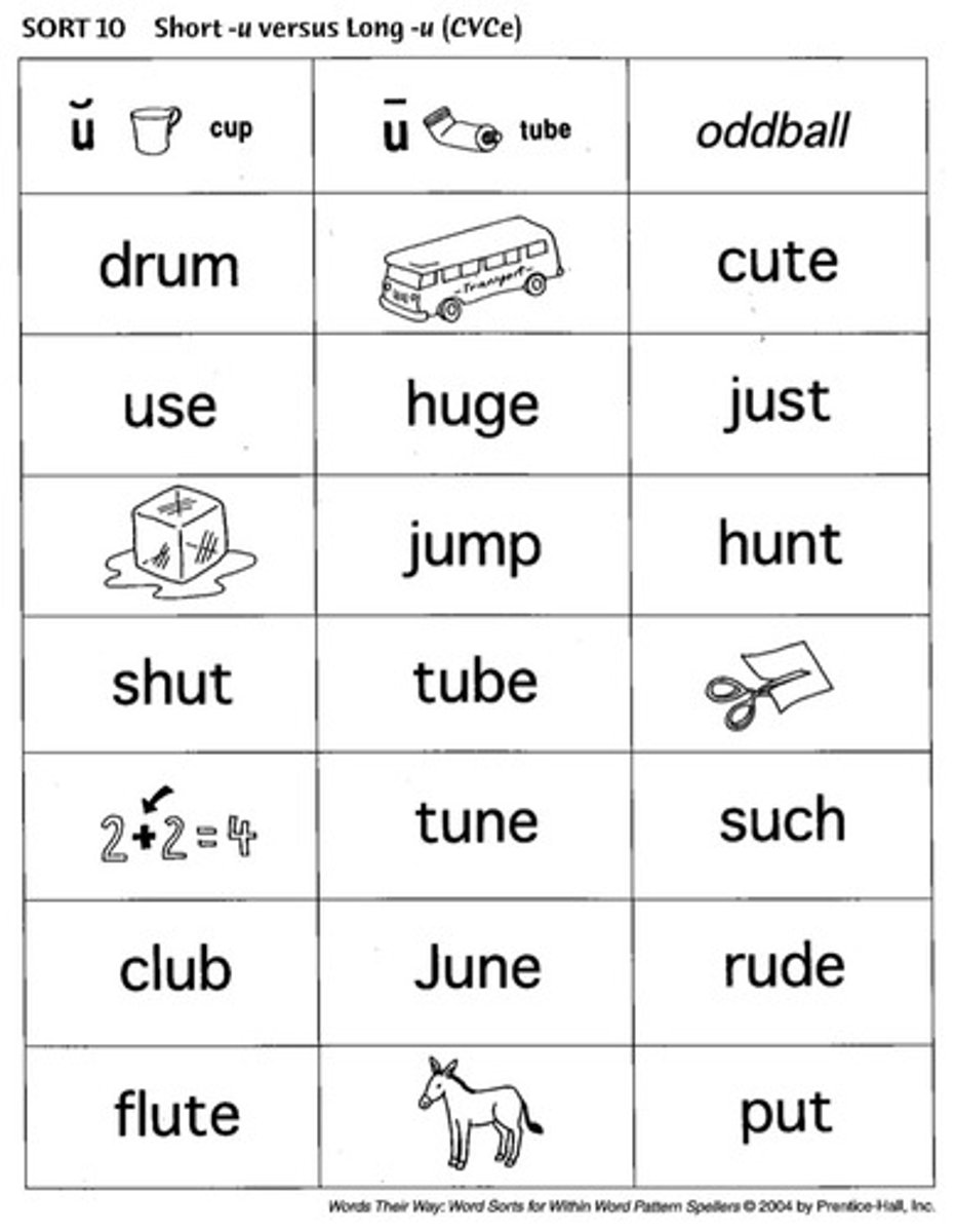 <p>(definition)</p><p>A single vowel letter that stands for a vowel sound.</p><p>(example)</p><p>(short vowels) cat, hit, gem, pot, sub (long vowels) me, no, mute</p>