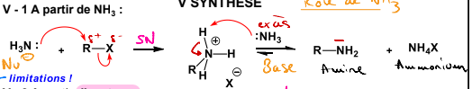 <p>1) SN =&gt; liaison entre le doublet du N et R de RX </p><p>2) Si NH3 en exces, reaction acide-base entre R-NH3<sup>+</sup>et NH3 formant du R-NH2 et du NH3<sup>+</sup></p>