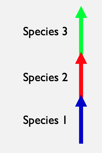<ul><li><p>a pattern of slow, linear evolutionary change, also know as Darwinian gradualism</p></li><li><p>species 1 goes extinct when it becomes species 2 etc. </p></li></ul>