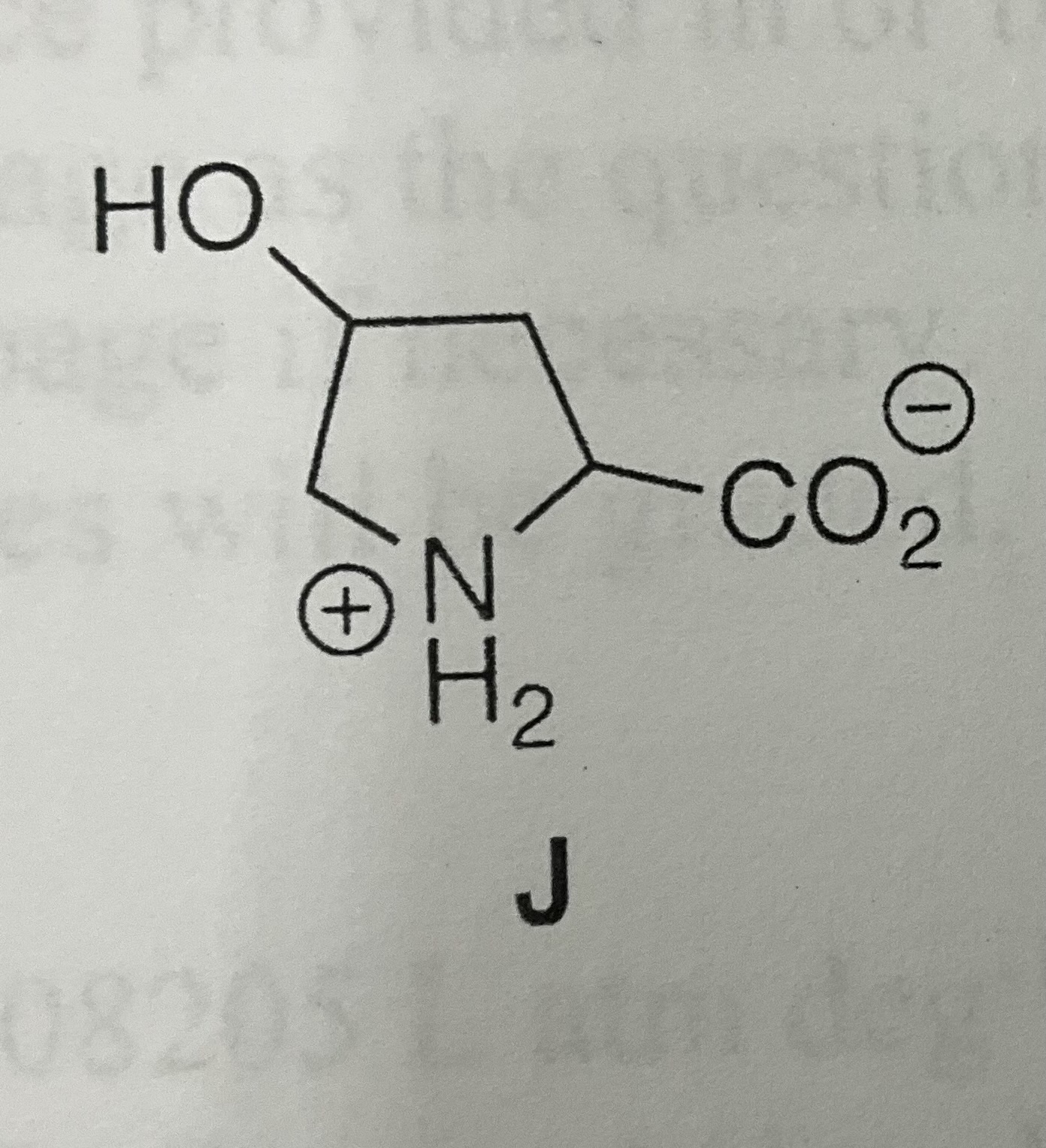 <p>4-Hydroxyproline</p>
