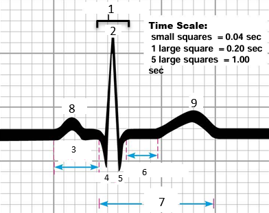 <p>7</p>