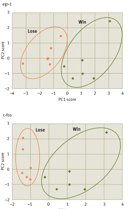 <p>What’s the main message?</p>