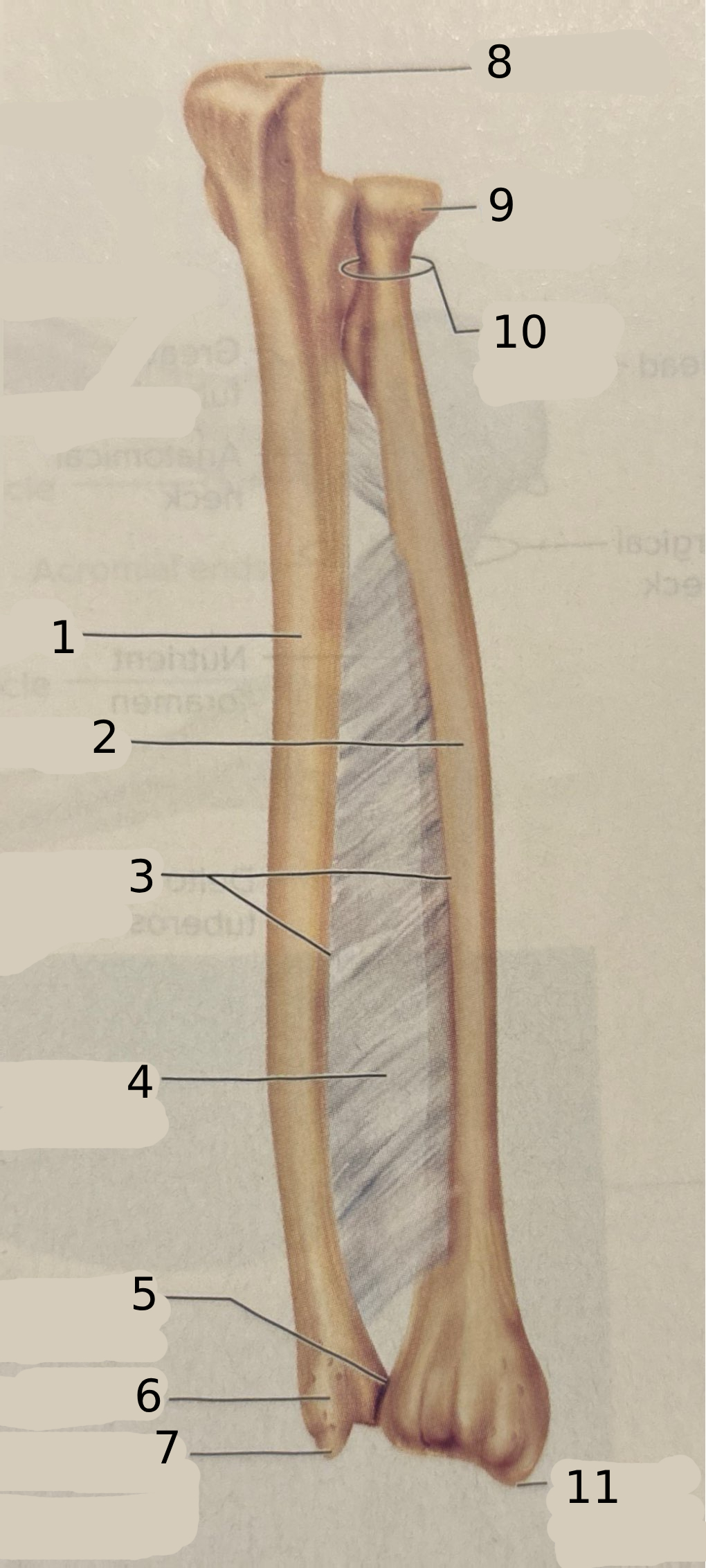 <p>#4</p>
