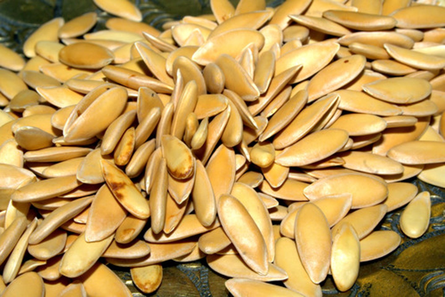 <p>seed</p>