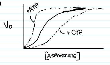 <p>What effect does CTP have on the ATCase curve?</p>