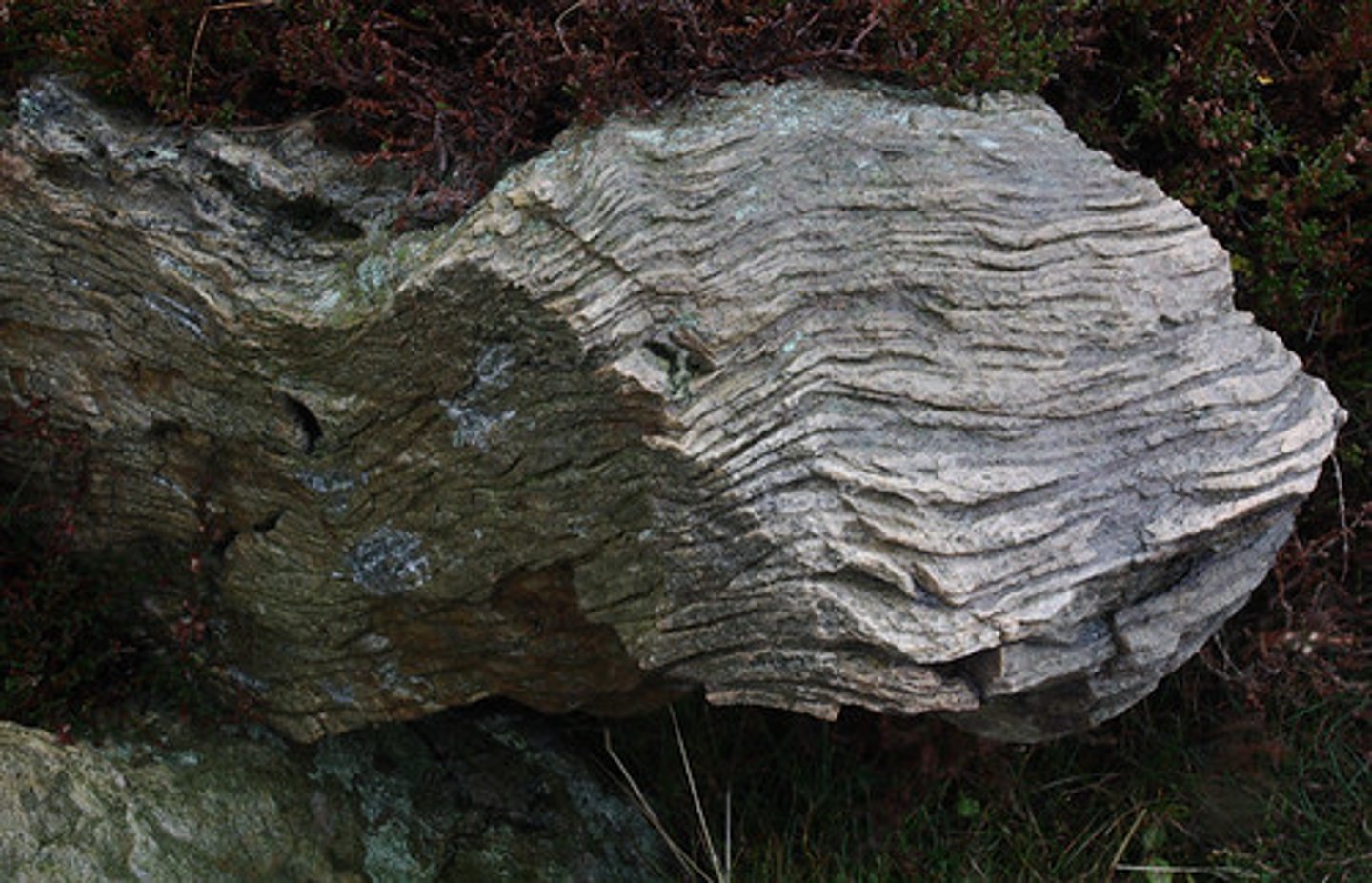 <p>rocks that have banding or striping due to extreme pressure</p>